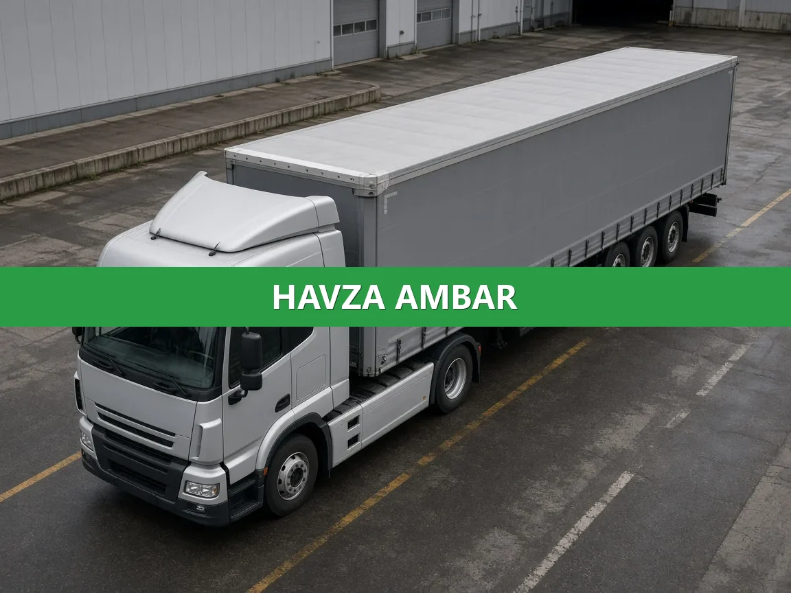 Havza Ambar