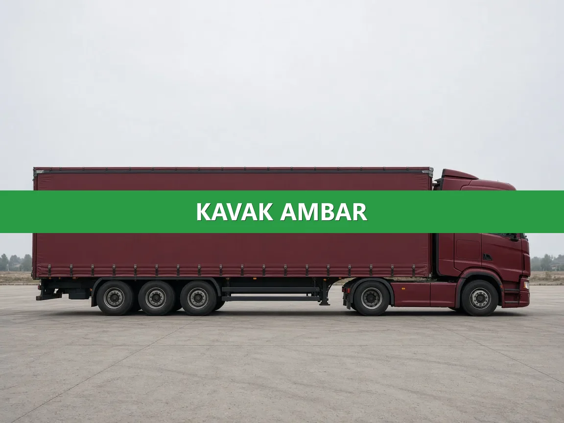 Kavak Ambar